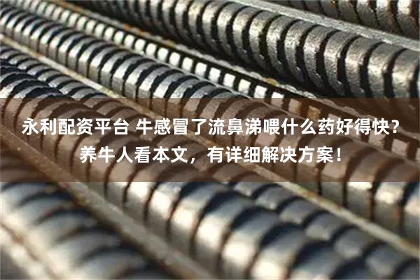 永利配资平台 牛感冒了流鼻涕喂什么药好得快？养牛人看本文，有详细解决方案！