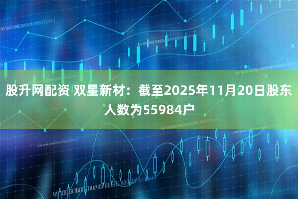 股升网配资 双星新材：截至2025年11月20日股东人数为55984户