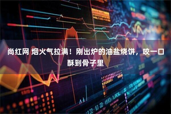 尚红网 烟火气拉满！刚出炉的油盐烧饼，咬一口酥到骨子里