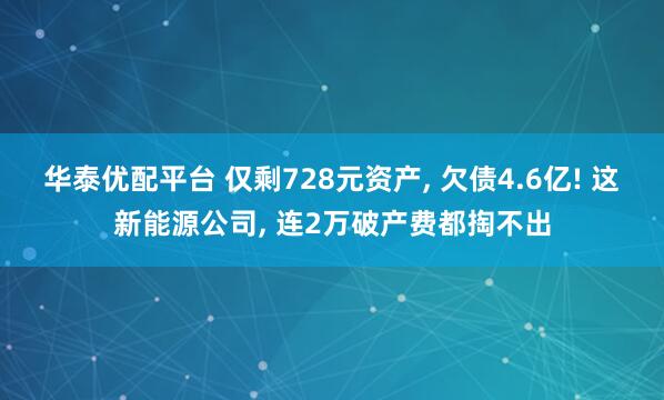 华泰优配平台 仅剩728元资产, 欠债4.6亿! 这新能源公司, 连2万破产费都掏不出