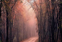 什么是经营杠杆:配资策略平台-沪深交易所：拟将主板风险警示股票涨跌幅限制比例调整为10%